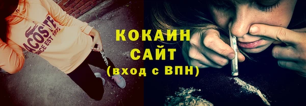 молекула духа Арсеньев