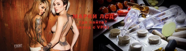 молекула духа Арсеньев