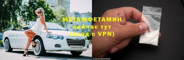 сатива Пересвет
