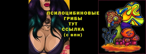 молекула духа Арсеньев