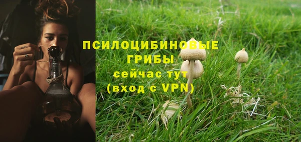 молекула духа Арсеньев
