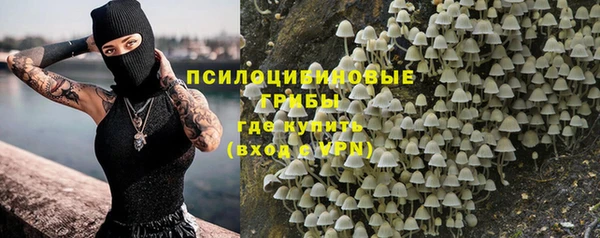 дживик Пестово