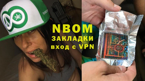 молекула духа Арсеньев