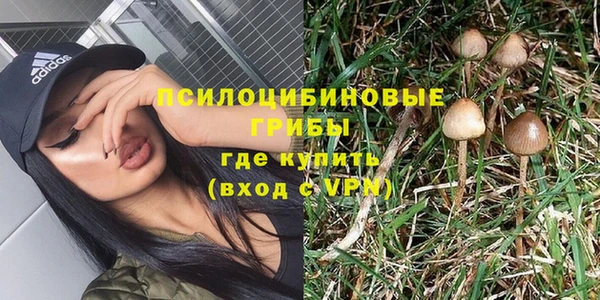 молекула духа Арсеньев