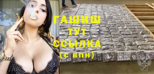 молекула духа Арсеньев