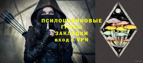 молекула духа Арсеньев
