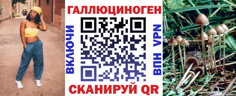 нарко площадка Telegram  хочу   Новоузенск  Псилоцибиновые грибы ЛСД 