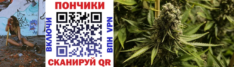 гидра вход  продажа наркотиков  Новоузенск  Бошки марихуана конопля 